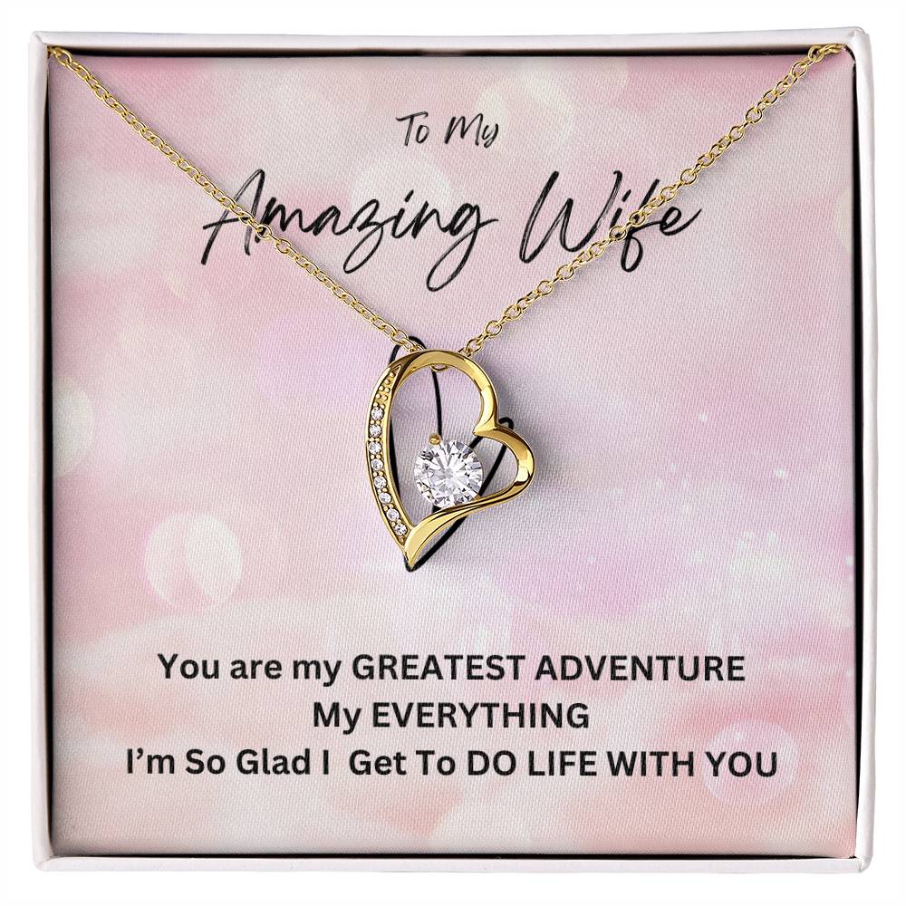 My Amazing Wife, My Everything